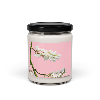 Scented Soy Candle, 9oz